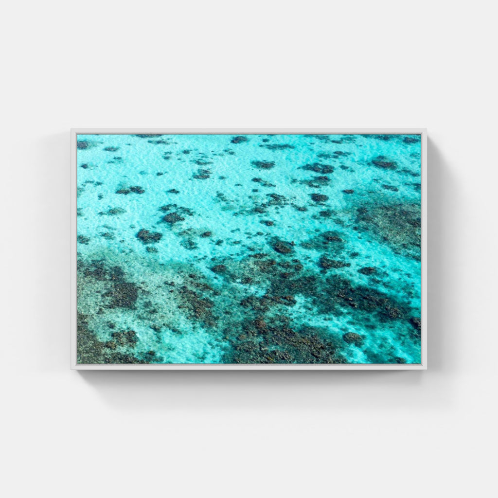 Culebrita Reef No 2