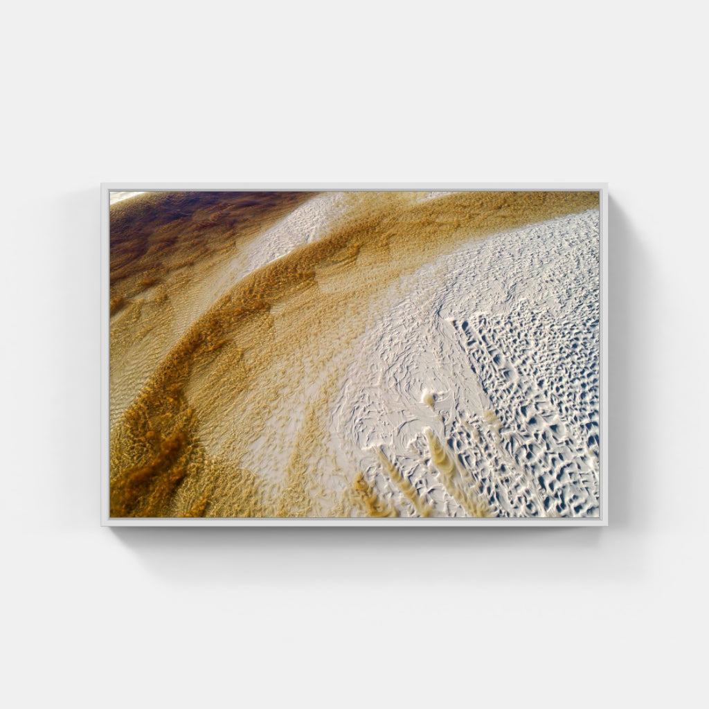 Natural Order No. 25