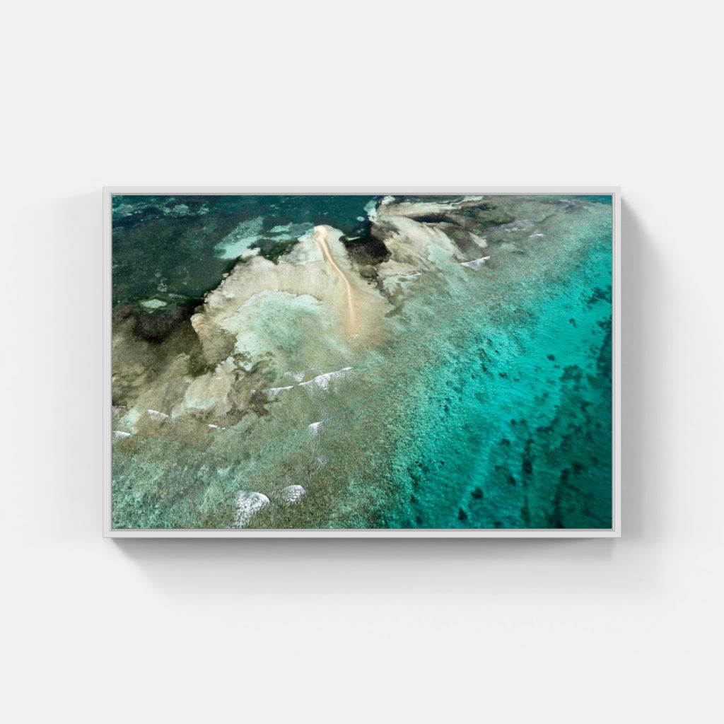 Culebra Reef No 4