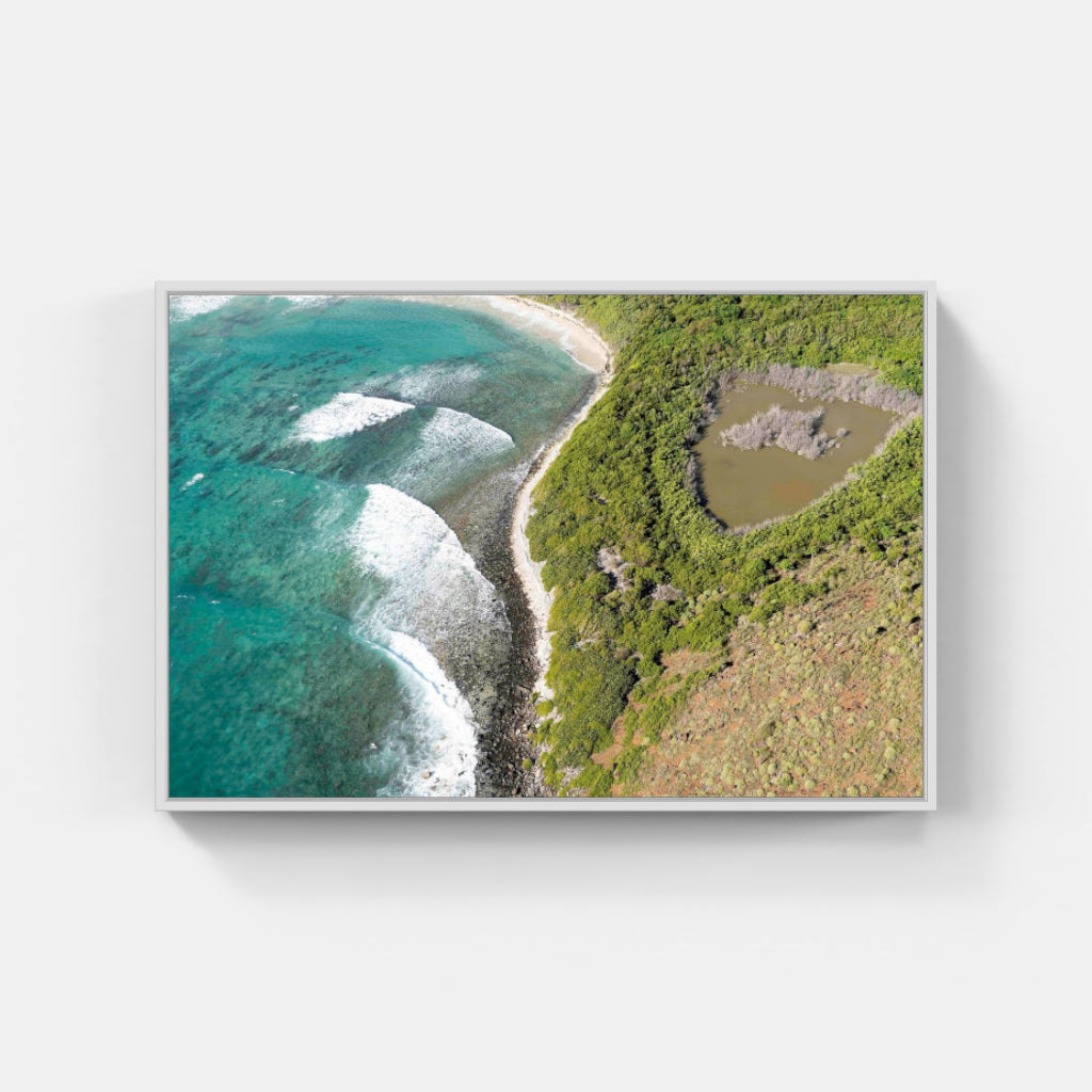 Culebrita Reef No. 4