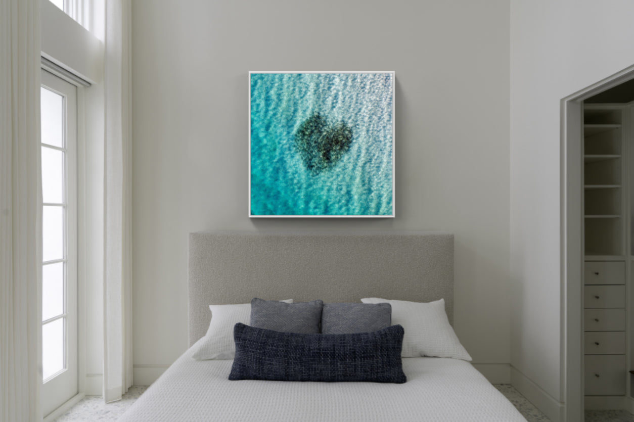 Heart of Fish