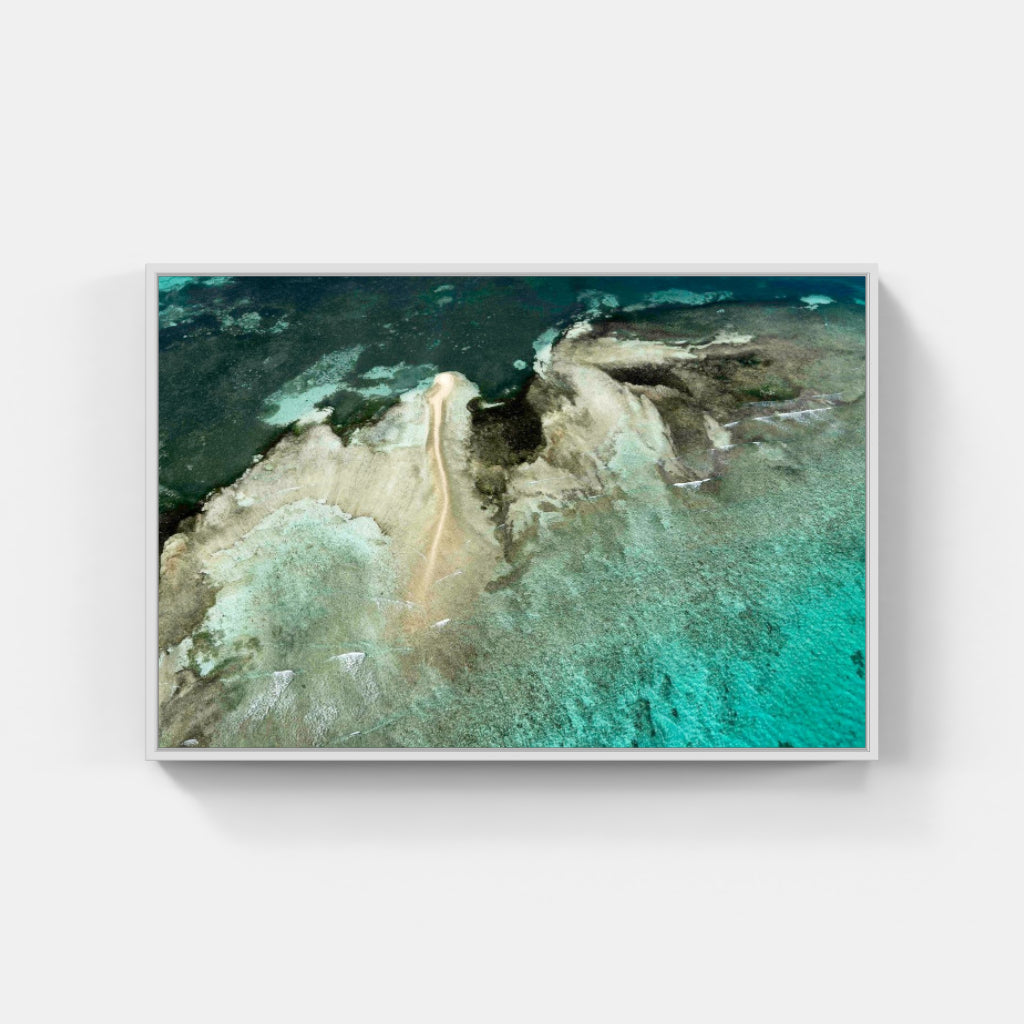 Culebra Reef No 5