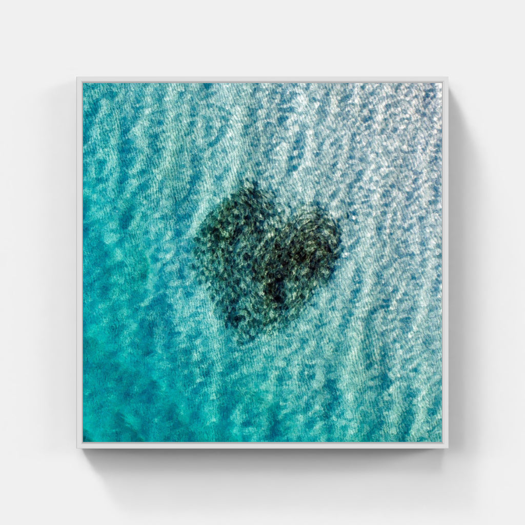 Heart of Fish
