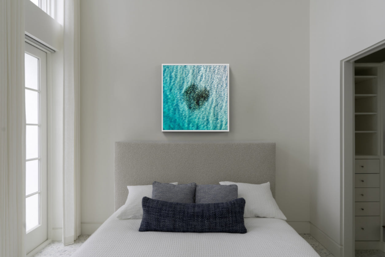 Heart of Fish