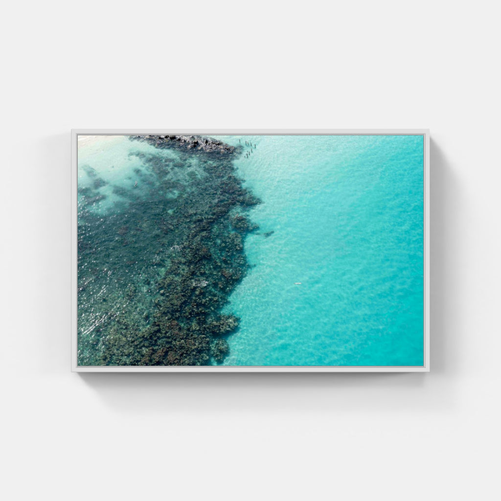 Flamenco Beach Reef