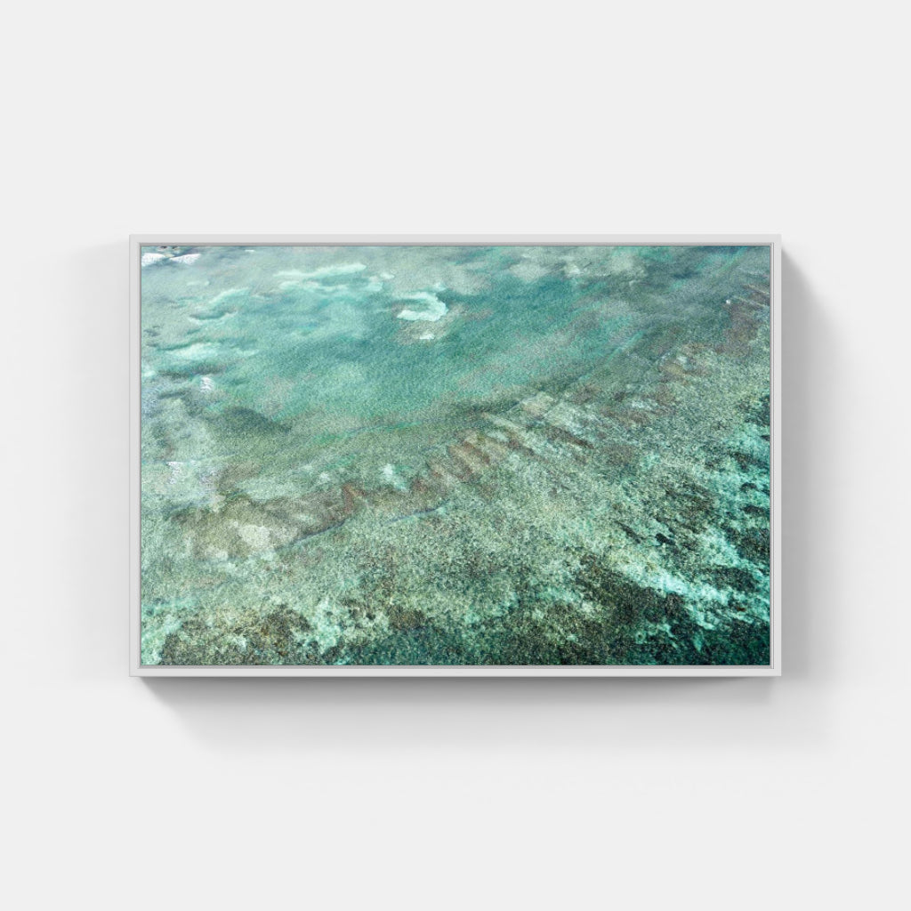 Culebrita Reef No 3