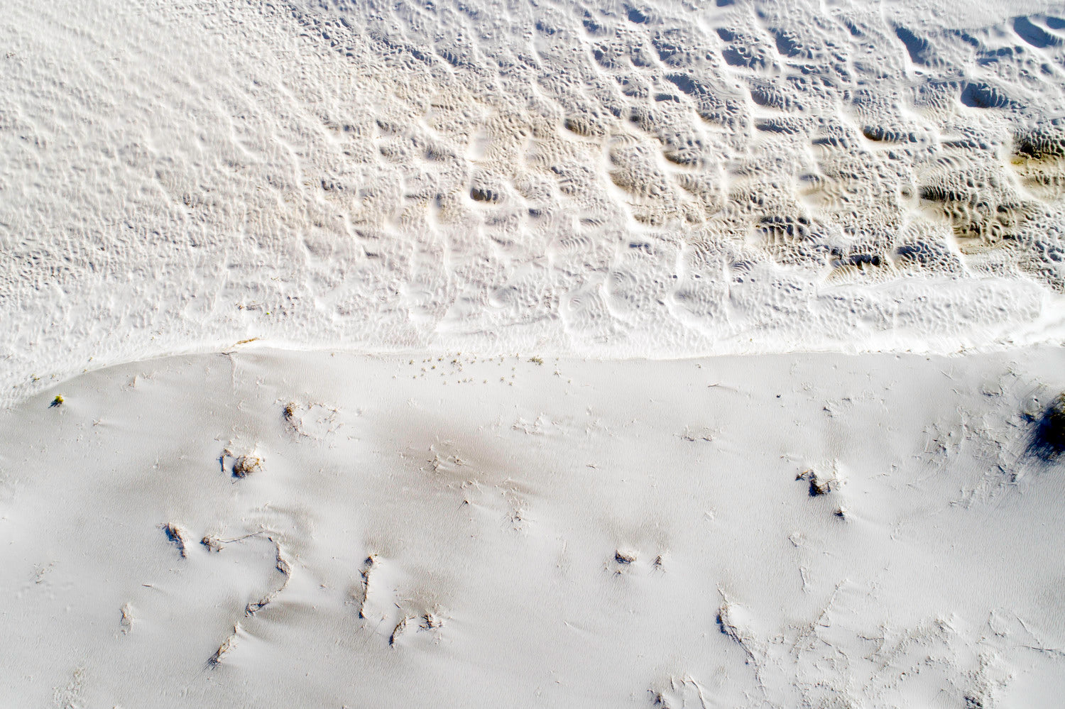 Natural Order No. 2