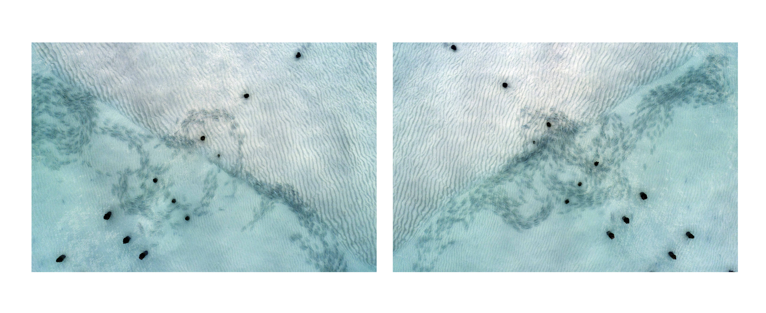 Natural Symmetries