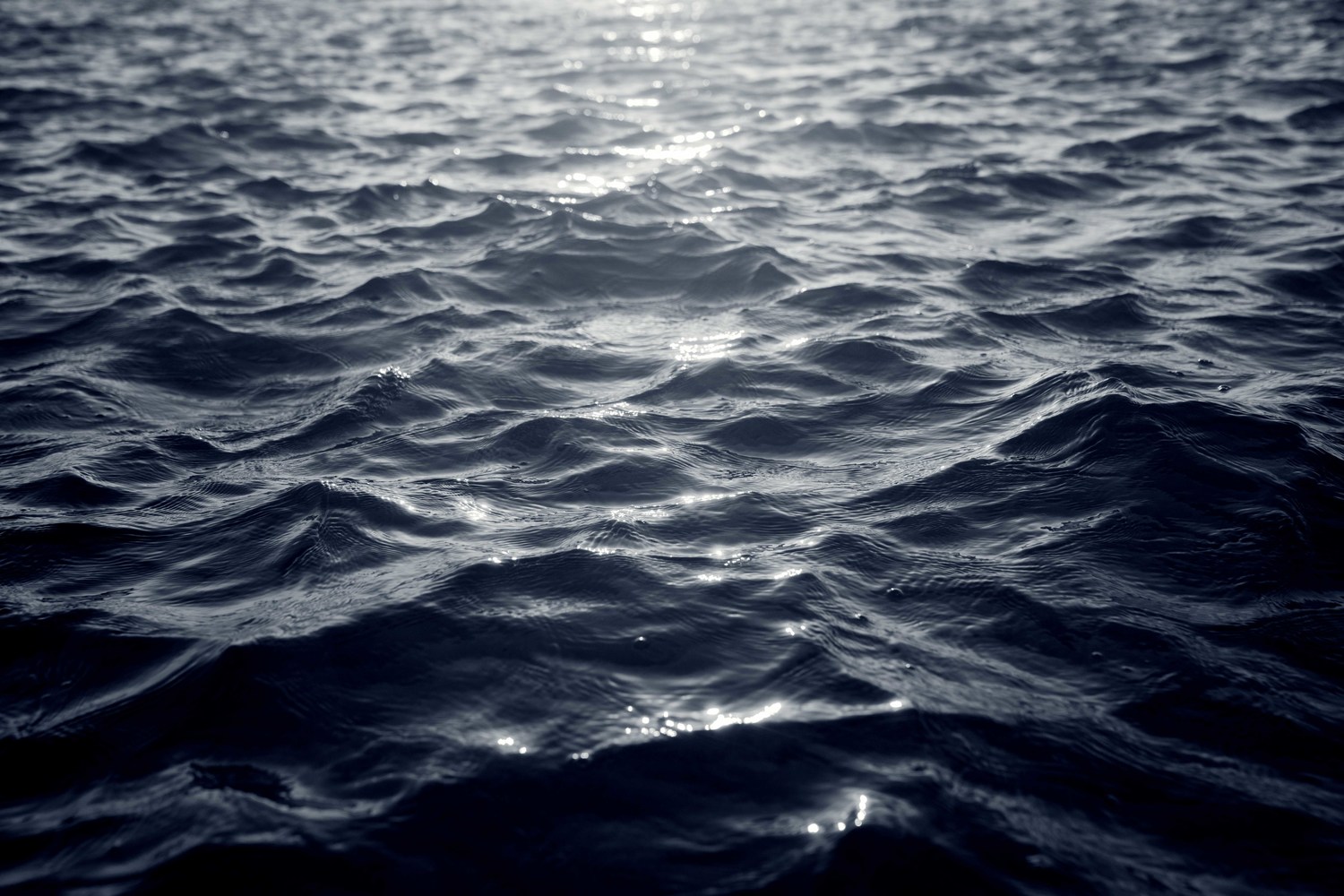 Sea Study No. 30