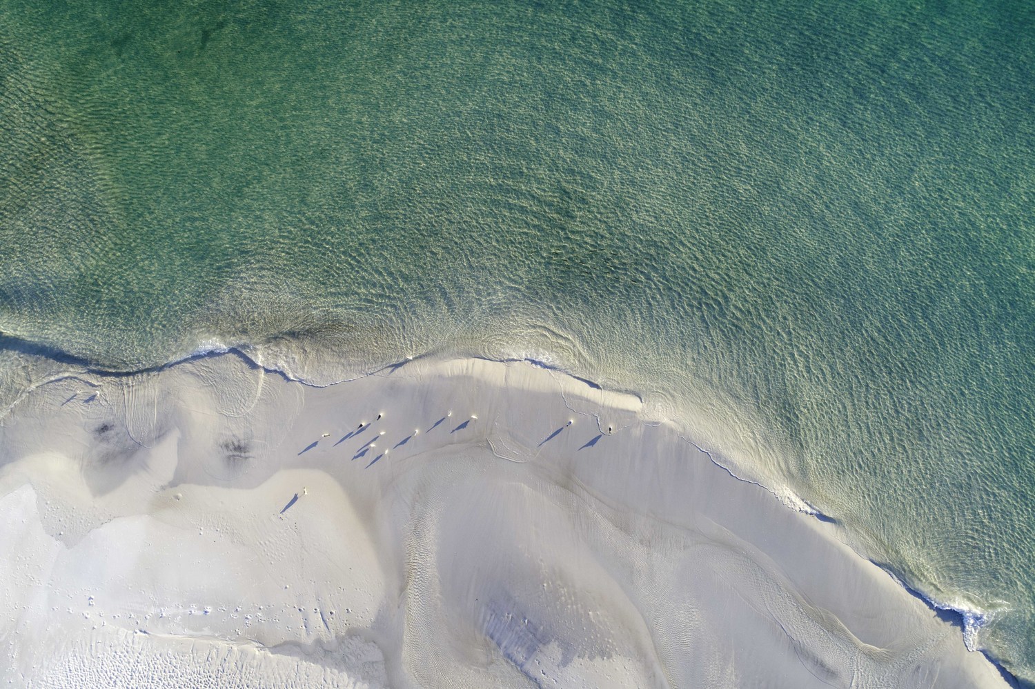 The Emerald Coastline No. 3