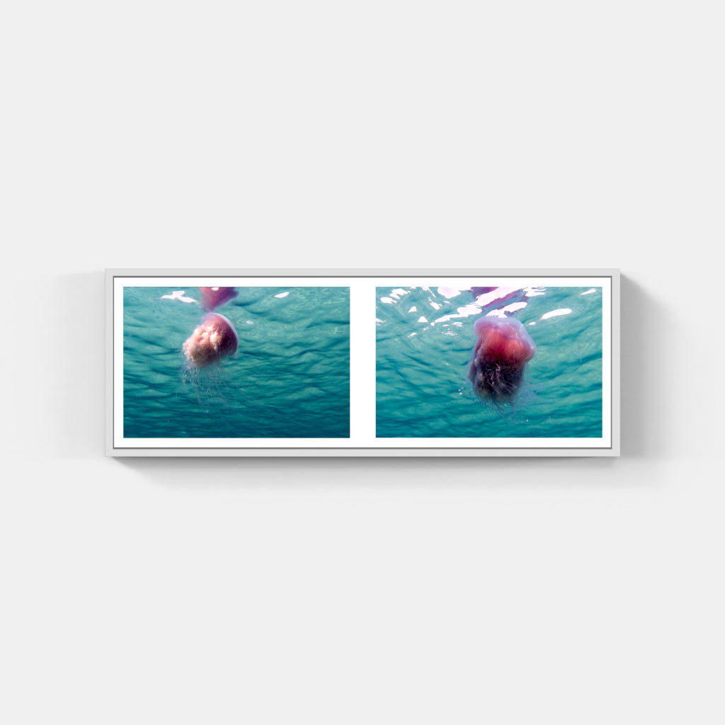 Ballet of The Pink Meanie Diptych 2