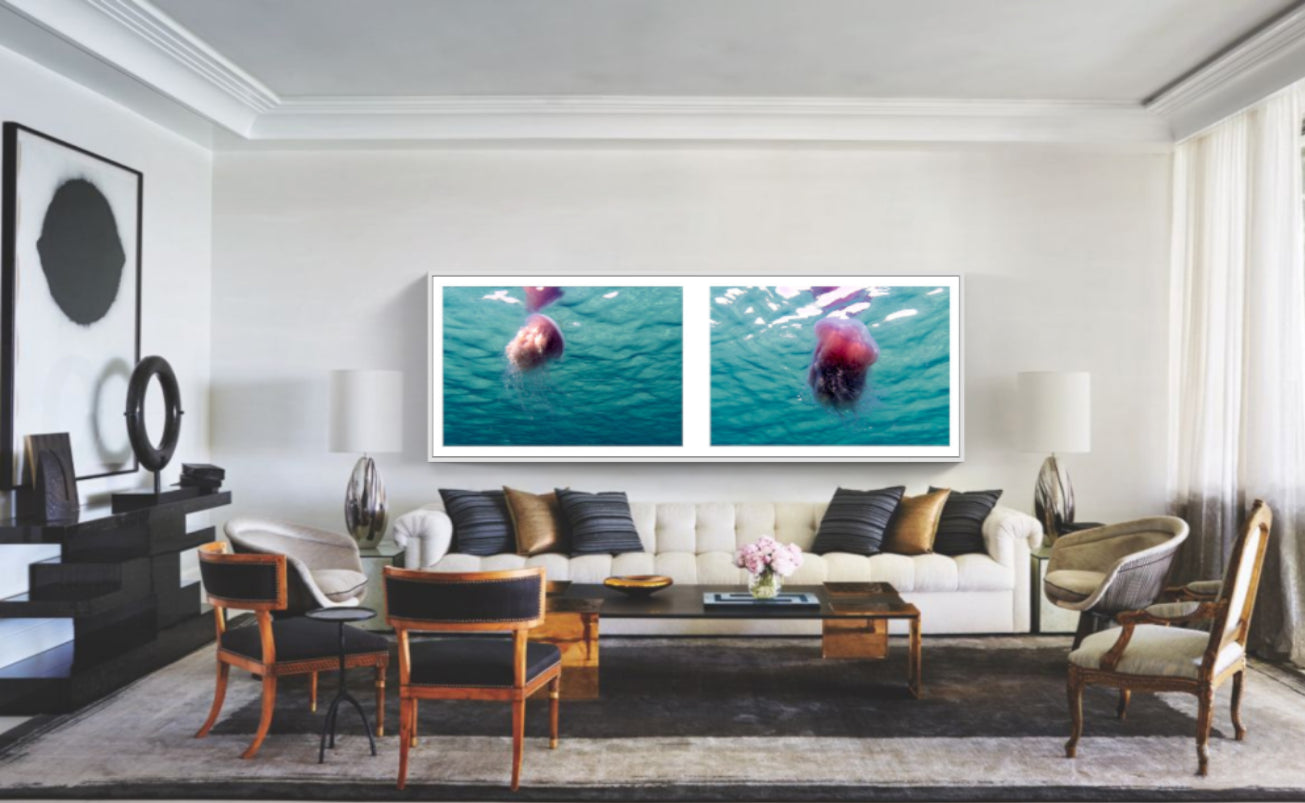 Ballet of The Pink Meanie Diptych 2