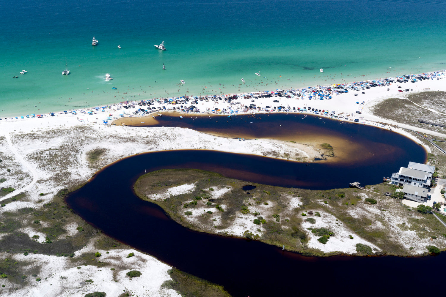 Grayton Beach, Independence Day No. 12