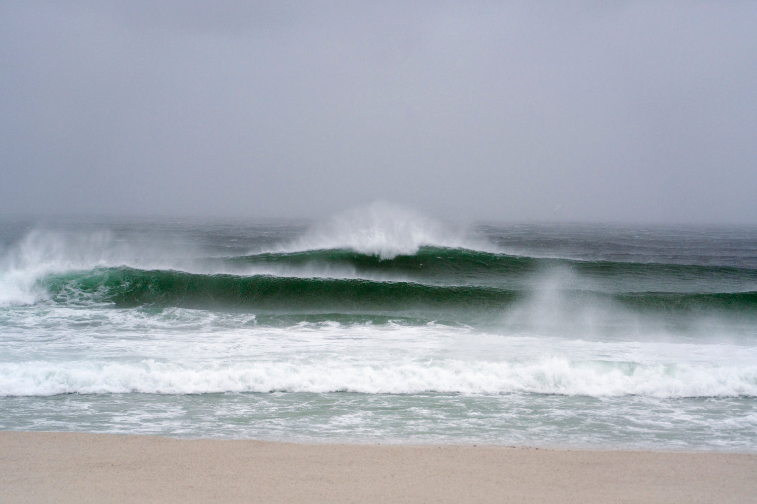 Hurricane Isaias No. 1