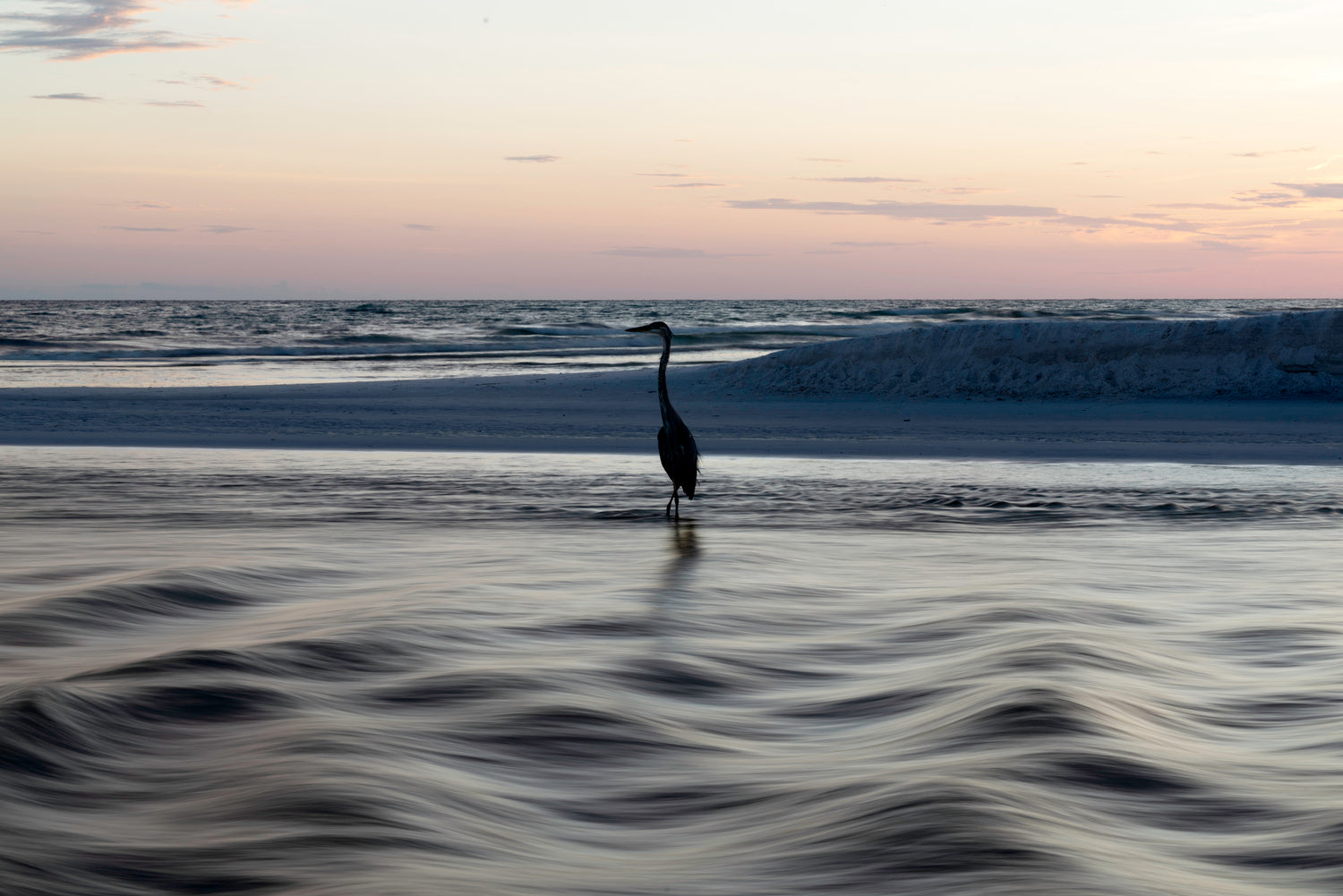 Lone Heron at Eastern Lake