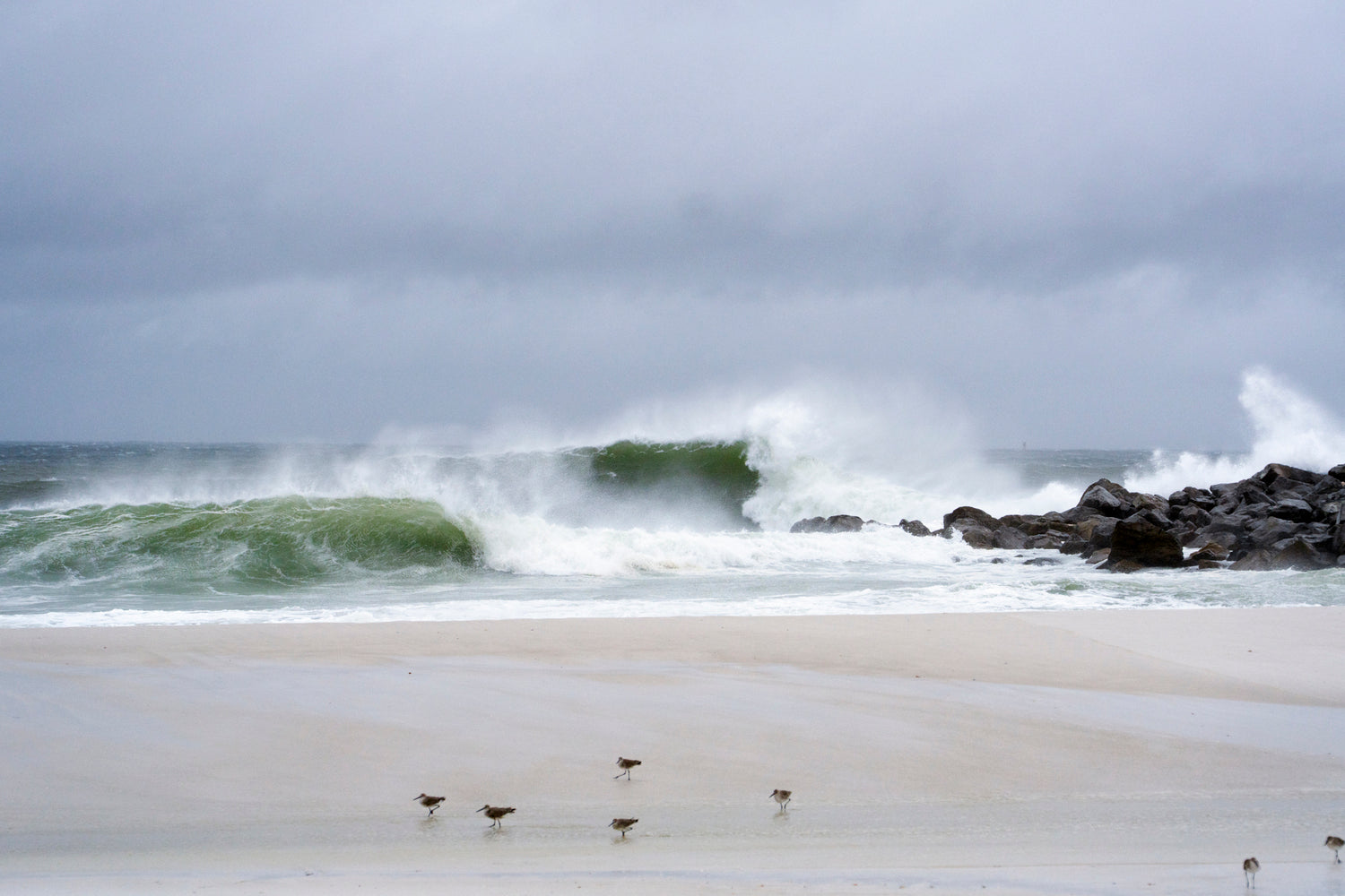 Hurricane Isaias No. 4