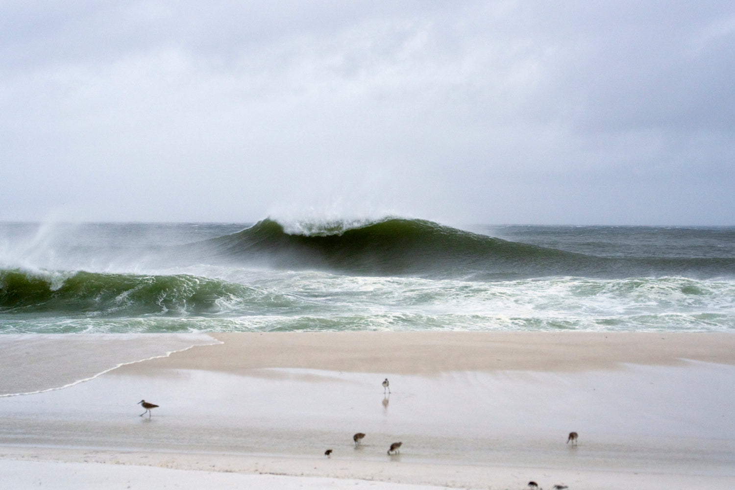 Hurricane Isaias No. 5