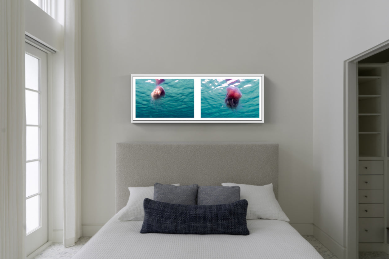 Ballet of The Pink Meanie Diptych 2