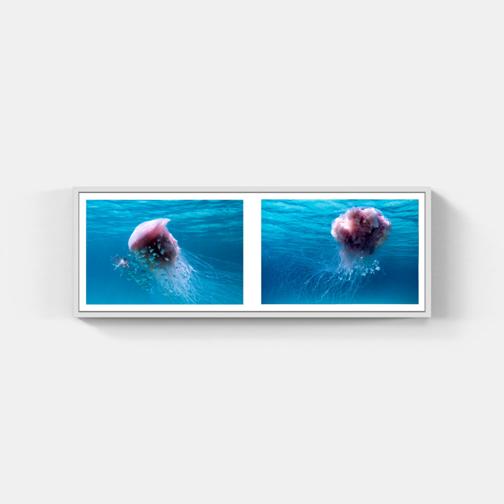 Ballet of The Pink Meanie Diptych 3