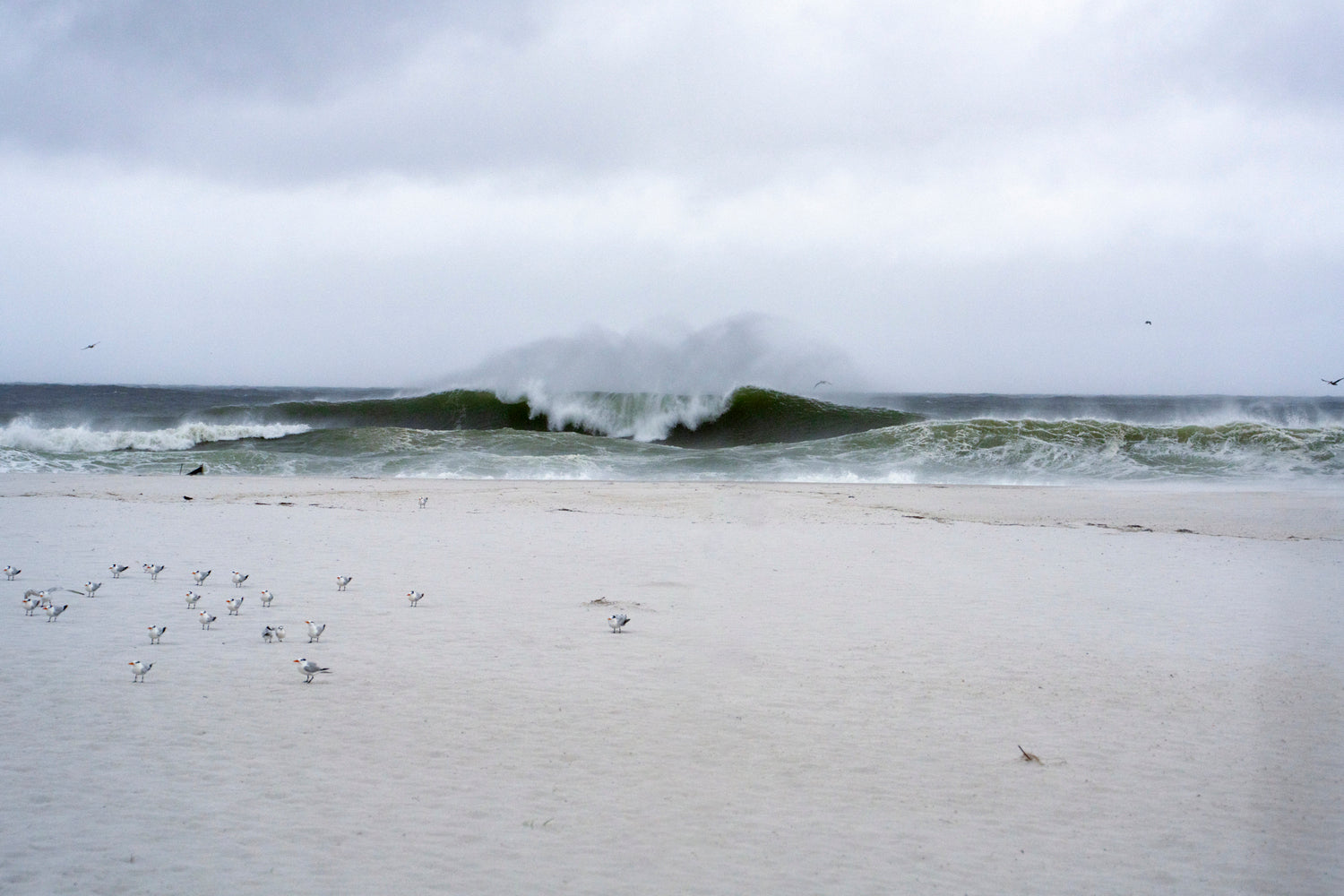 Hurricane Isaias No. 6
