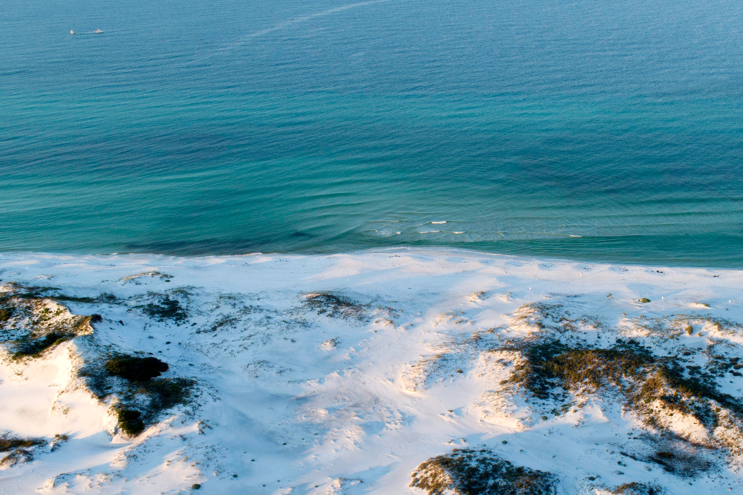 Grayton Beach State Park No. 1