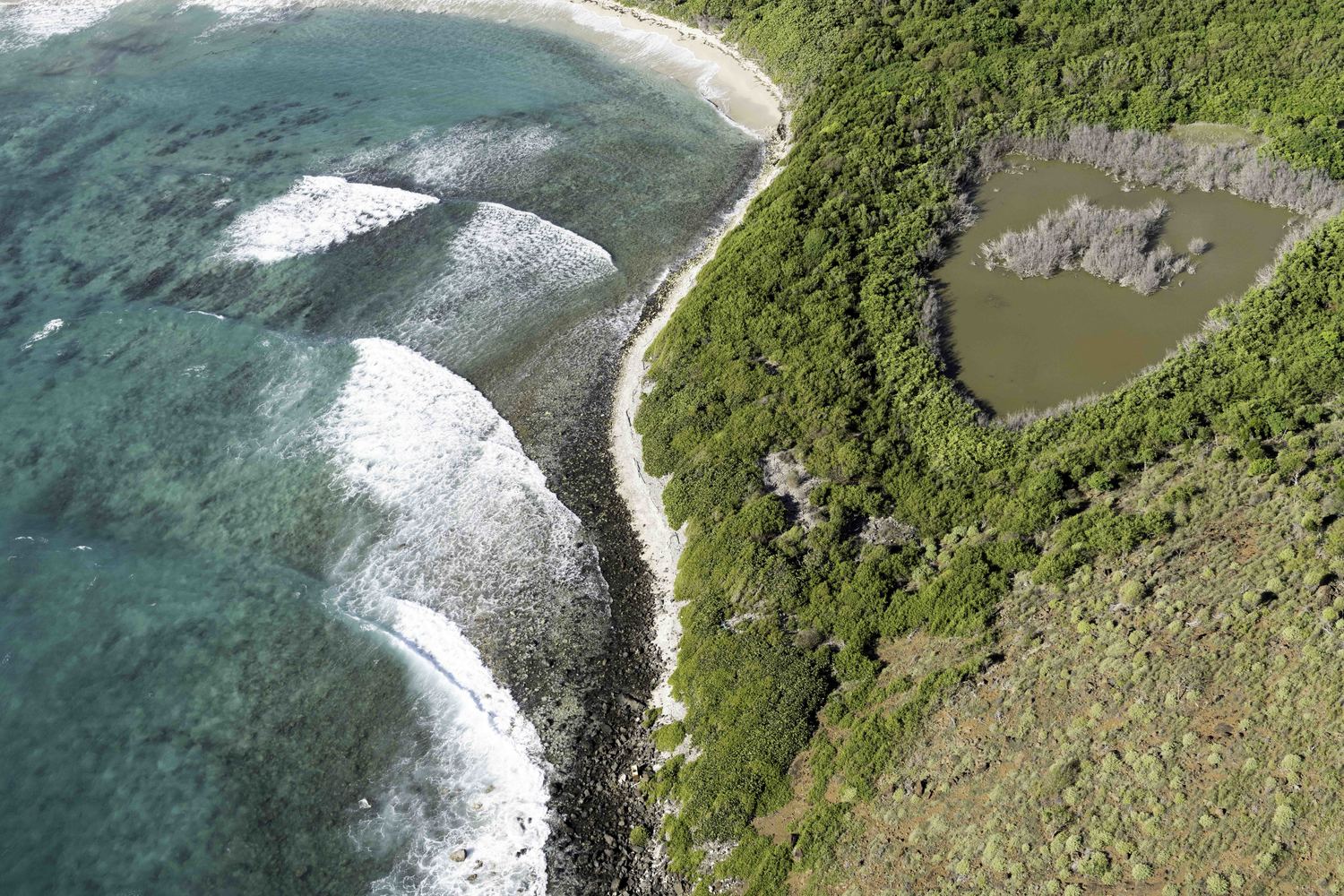 Culebrita Reef No. 4